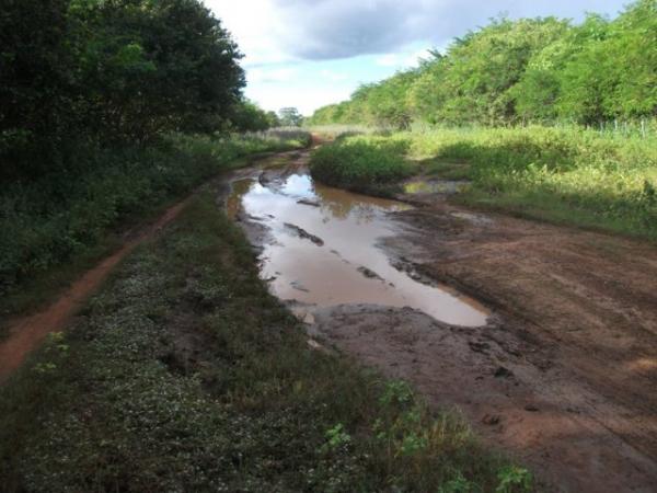 Vereador de Jatobá do PI denuncia que alunos correm risco em péssimas estradas(Imagem:Divulgação)