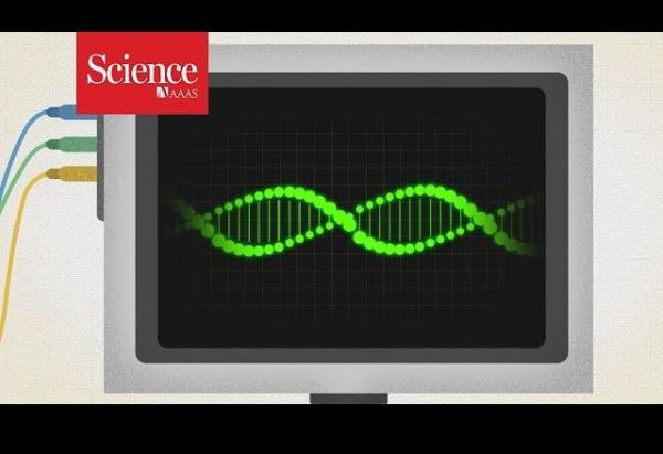 Ciência comprova que existem genes funcionando pós-morte.(Imagem:Reprodução)