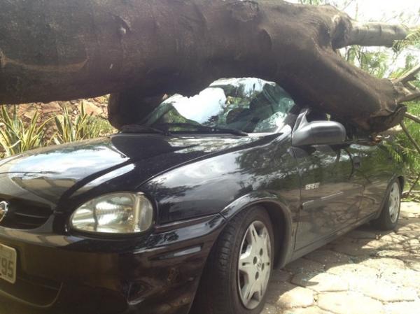 Árvore cai sobre três carros no estacionamento de maternidade em Teresina. (Imagem:Gil Oliveira/G1)