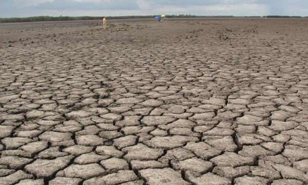 Seca no Piauí(Imagem:Divulgação)