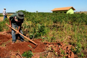 SDR busca ampliação de recursos para Programa Nacional de Habitação Rural(Imagem:Divulgação)