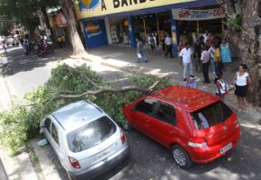 Os carros passavam no local quando foram atingidos pelo galho. (Imagem:Thiago Amaral)