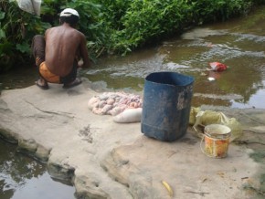 Homem tratando as visceras de um animal dentro do riacho(Imagem:MOACIR AMORIM)