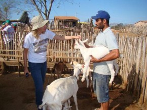 Curso sobre Manejo de Caprinos e Ovinos será desenvolvido em Floriano.(Imagem:Divulgação)