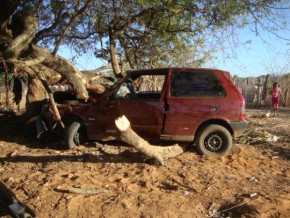 Carro bateu numa árvore(Imagem:redação)