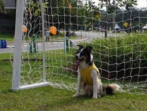 Fenômeno vai visitar pontos turísticos da África(Imagem:Divulgação)