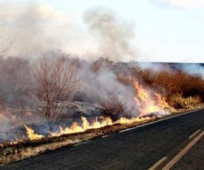 Incêndio atinge município do Piauí há três dias e ameaça residências.(Imagem:Cidades na net)