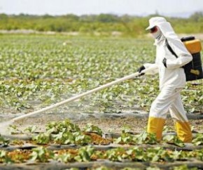 Pesquisa indica que não há dose segura de agrotóxico.(Imagem:Divulgação)