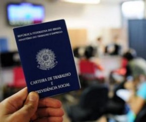 Mais de 37 mil carteiras de trabalho foram emitidas no PI no 1º semestre.(Imagem:Divulgação)