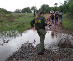 Prefeitura é multada em R$ 100 mil por obstruir curso de rio no litoral.(Imagem:Cidadeverde.com)