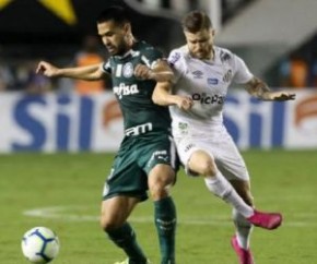 Santos vence o Palmeiras na Vila e assume a vice-liderança do Campeonato Brasileiro.(Imagem:Cesar Greco)