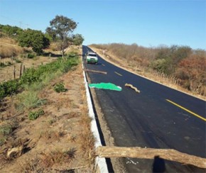 Motociclista tem a cabeça decepada em acidente da BR-135.(Imagem:Cidadeverde.com)