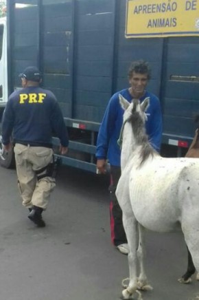 PRF divulga resultado da Operação Semana Santa no Piauí(Imagem:PRF)