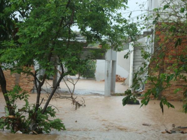 Imagens do quintal de uma casa na rua Afonso Nogueira(Imagem:redação)