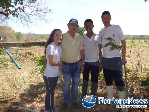 Estudantes instalam sistema de irrigação de pasto rotativo em Floriano.(Imagem:FlorianoNews)