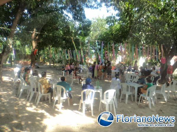 Universitários realizam festa carnavalesca para idosos da Vila Vicentina.(Imagem:FlorianoNews)