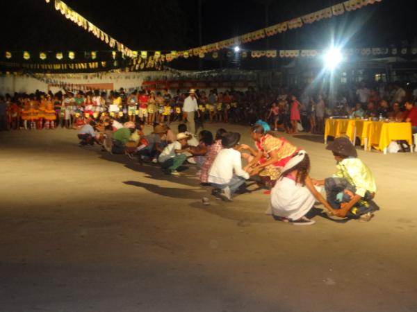 Festival da Goiaba.(Imagem: FlorianoNews)