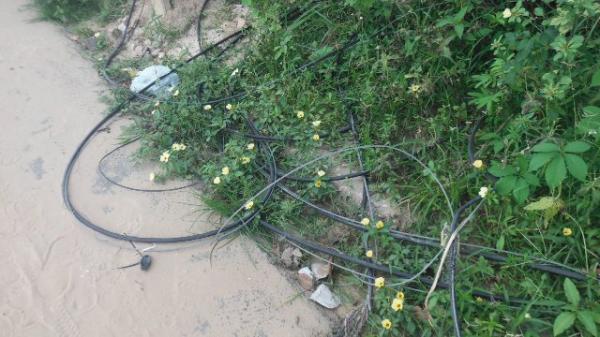 Moradores reclamam da oscilação constante de energia no bairro Campo Velho.(Imagem:FlorianoNews)