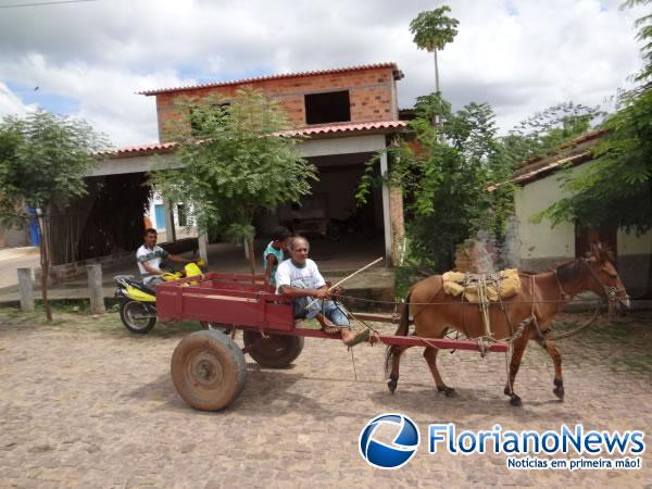 Festa dos Carroceiros atraiu dezenas de participantes em Nazaré do Piauí.(Imagem:FlorianoNews)