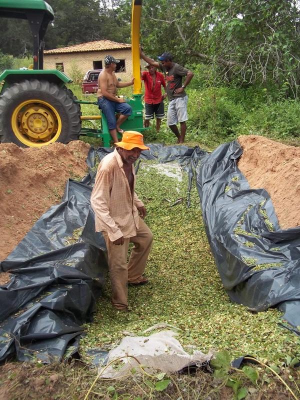 Secretaria de Desenvolvimento Rural realiza dia de campo sobre confecção de silagem.(Imagem:Assessoria de Comunicação)