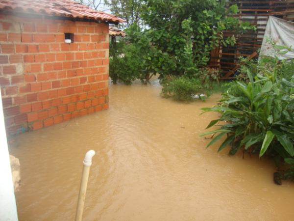 Quintal repleto de água(Imagem:redação)