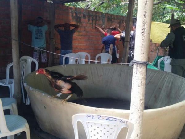 No local os policiais encontraram mais de10 aves.(Imagem:Polícia Militar/Divulgação)