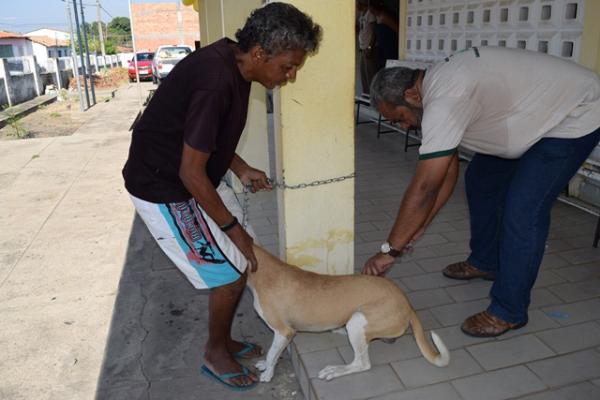 Secretaria Municipal de Saúde realiza Campanha de Vacinação Antirrábica.(Imagem:SECOM)