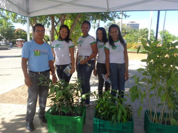 IFPI distribui mudas e planta pensamento sustentável em estudantes florianenses.(Imagem:FlorianoNews)