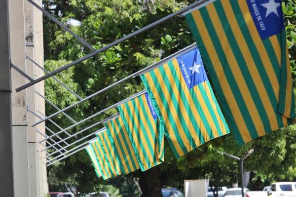 Bandeira do Piauí(Imagem:Jonas Carvalho/ Portal ClubeNews)