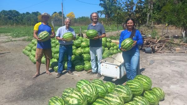 Programas de alimentos transformam a vida de agricultores familiares do Piauí.(Imagem:Divulgação)