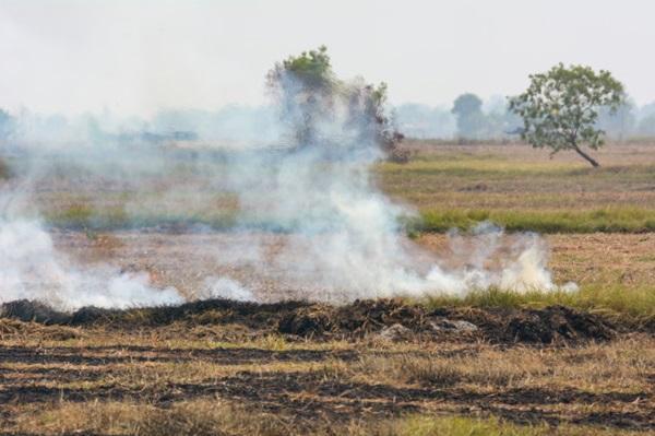 Foco de incêndio no Piauí(Imagem:MPPI/divulgação)