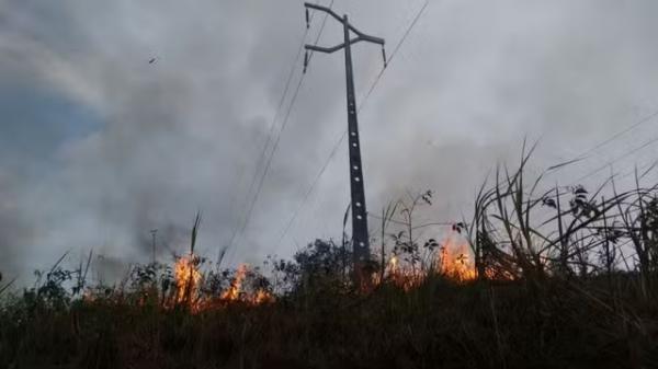 Queimadas próximas à rede elétrica.(Imagem:Reprodução/Equatorial)