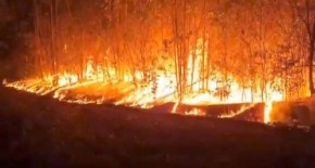 O fogo consumiu dezenas de hectares de vegetação nos municípios de Nazária, Monsenhor Gil e Curralinhos.(Imagem:Divulgação)