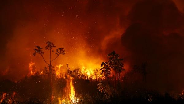 Fumaça e chamas de queimada no Pantanal, em Poconé, no Mato Grosso.(Imagem:Amanda Perobelli/Reuters)