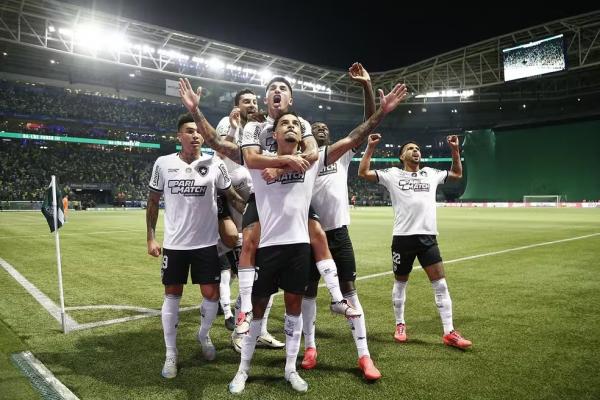 Palmeiras x Botafogo(Imagem:Vítor Silva/Botafogo)