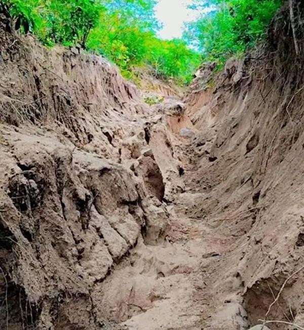 Comunidades do Sul do Piauí enfrentam isolamento após fortes chuvas; ?SOS?(Imagem:Reprodução/redes sociais)