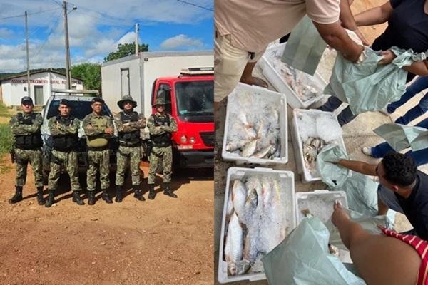 Carga de peixe apreendida em São Raimundo Nonato(Imagem:Polícia Militar do Piauí)