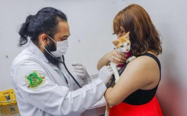  Piauí Pet Castramóvel já realizou mais de 3000 castrações no Piauí(Imagem:Divulgação)