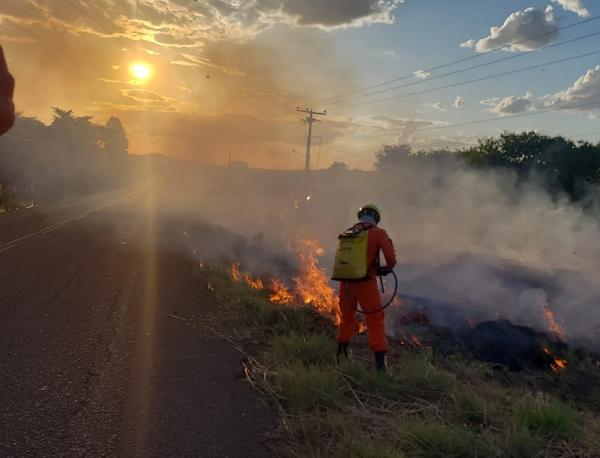 Piauí registra mais de 3 mil focos de incêndio em um mês; maior registro de 2024.(Imagem:Divulgação)