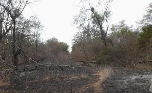 Queimadas atingem rede elétrica no interior do Piauí.(Imagem:Reprodução/Equatorial Piauí)