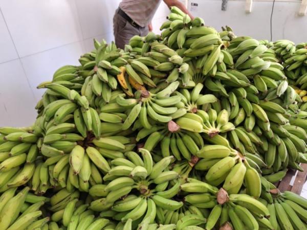 Escolas da Rede Municipal de Floriano são reabastecidas com produtos da alimentação escolar(Imagem:Secom)