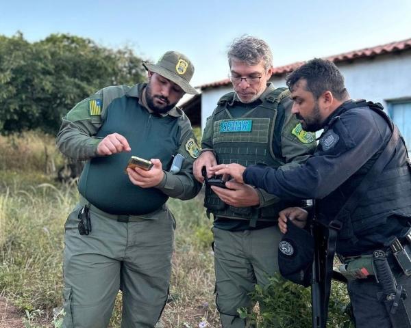 A operação Vale do Sambito resultou na apreensão de animais em cativeiro e armas de fogo.(Imagem:Divulgação)