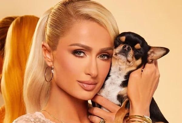 Paris Hilton e um de seus cachorros.(Imagem:Reprodução | Instagram)