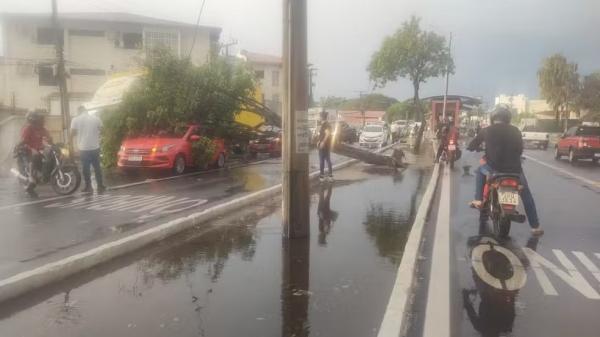 Carro é atingido por árvore na Av. Kennedy, na Zona Leste de Teresina - Chuva derruba árvores e deixas avenidas interditadas em Teresina.(Imagem:Reprodução)