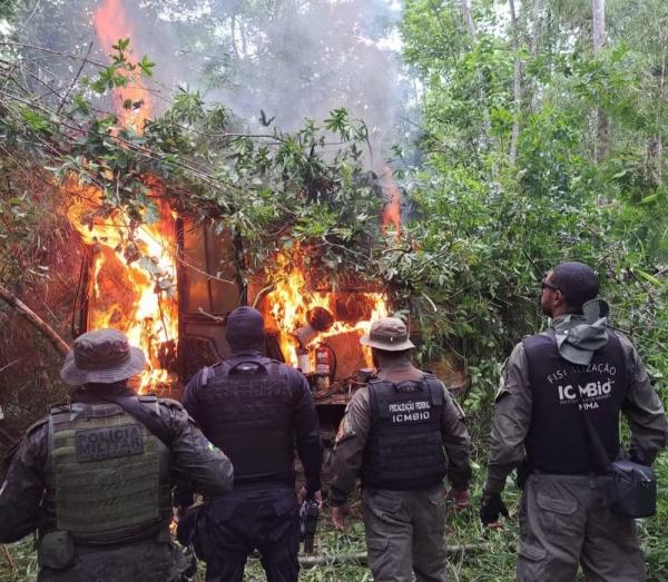 Agentes ambientais durante a operação Terra Protegida.(Imagem:Reprodução/ICMBio)