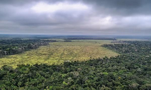 Aumento das queimadas contribui para destruir a área verde.(Imagem:© Polícia Federal/divulgação)