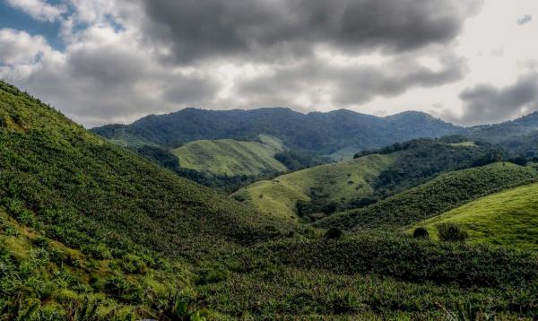 Edição anterior identificou quase 18 mil hectares desflorestados.(Imagem:© Rafa Neddermeyer/Agência Brasil)