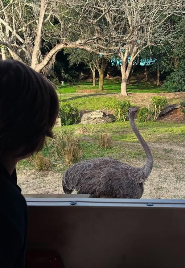 Theo Lima passeia pelos parques da Disney, em Orlando(Imagem:Reprodução/Instagram)