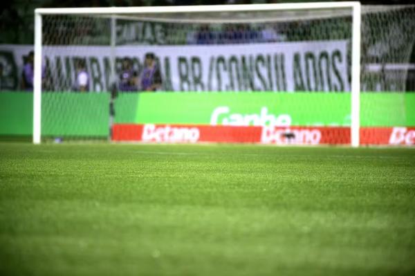 Gramado do Allianz Parque(Imagem:Marcos Ribolli)