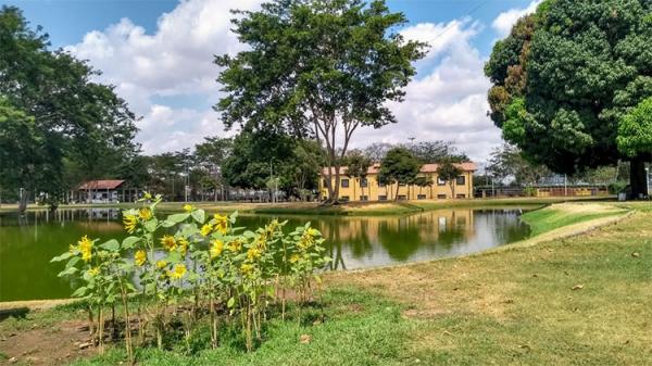 Parques ambientais voltam a funcionar de terça-feira a domingo(Imagem:Reprodução)